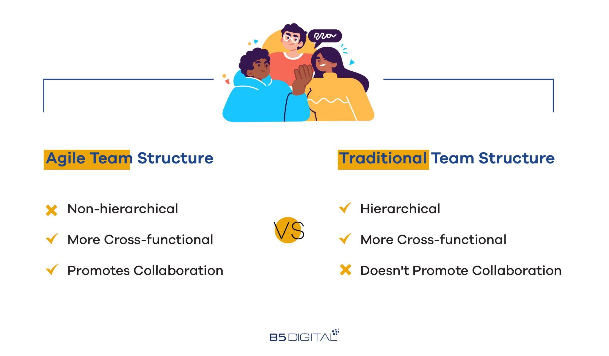 team structure